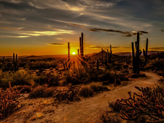 emdr-basic-training-mountain-west-southwest