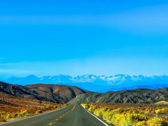 emdr-basic-training-for-nevada-clinicians